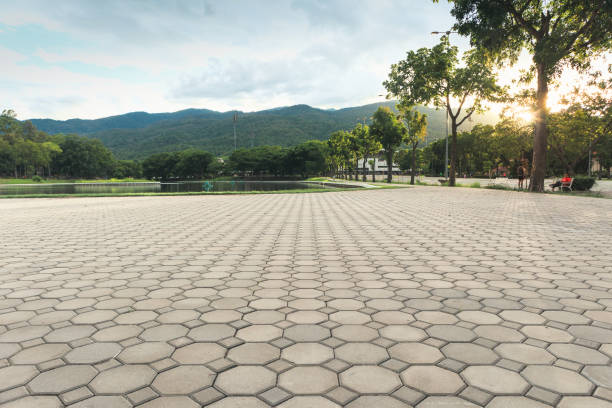 Best Custom Driveway Pavers  in Osawatomie, KS